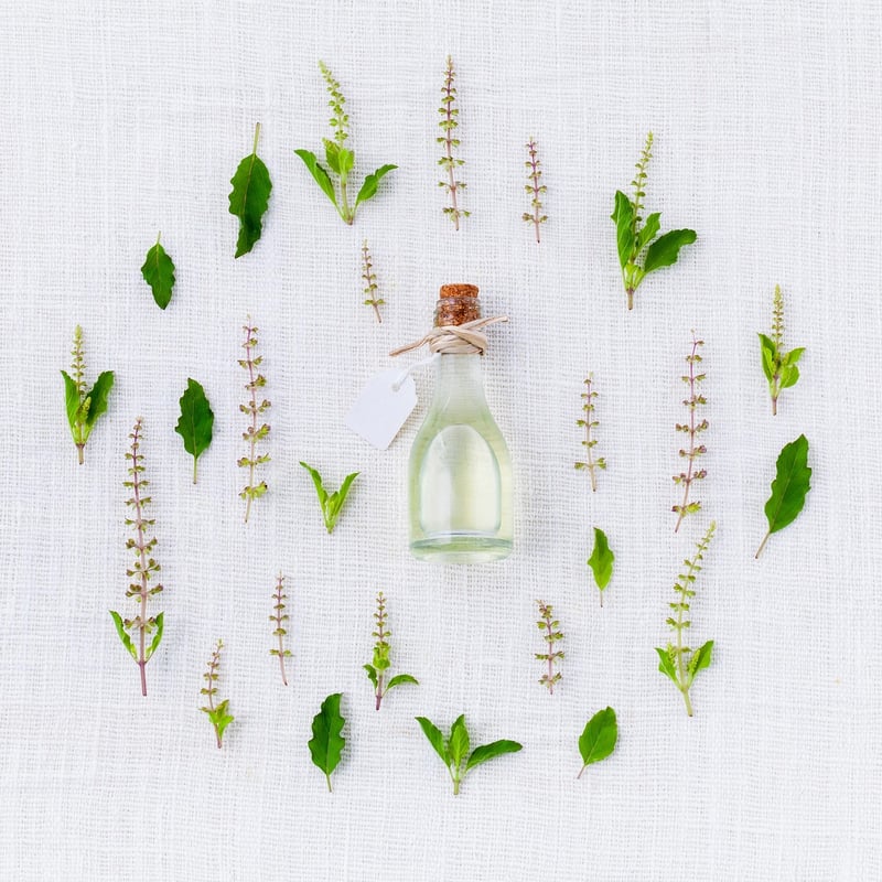 Herb garden essentials