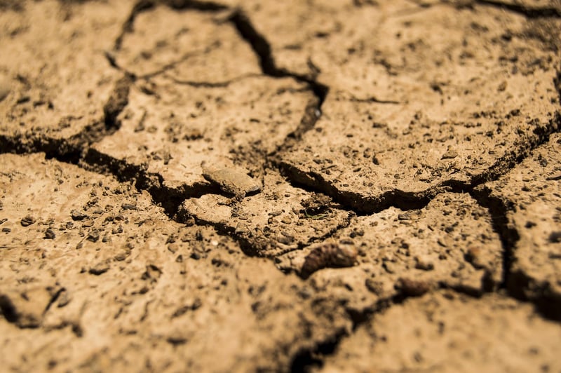 Soil testing kits