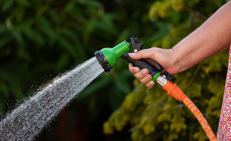 Hose with Spray Nozzle
