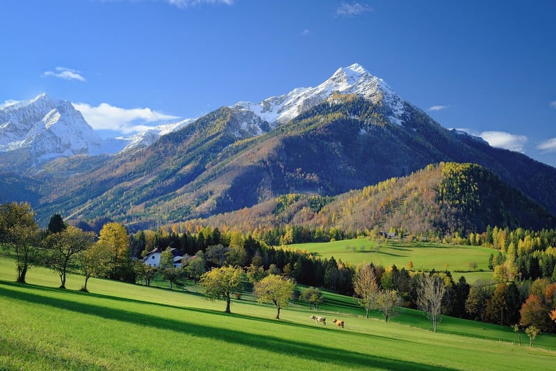 Modern Landscape